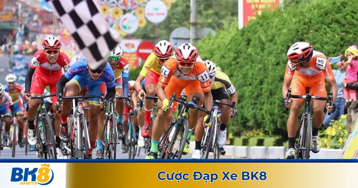 Cá cược đua xe đạp là gì? Hình thức cược thể thao tốc độ tại BK8