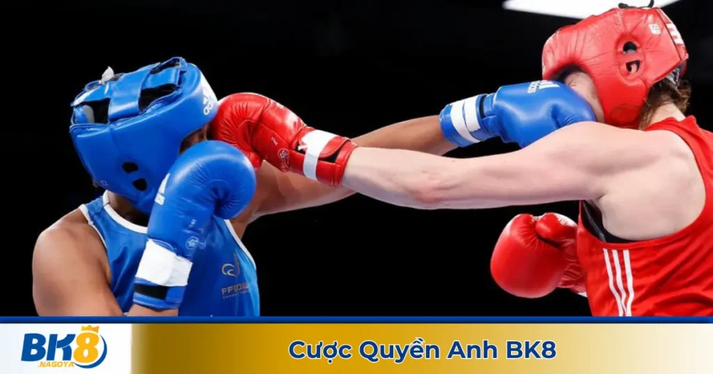 Cá cược quyền anh là gì? Giới thiệu hệ thống cược tại BK8