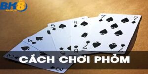 Thuật ngữ người chơi cần biết trong quá trình chơi bài phỏm